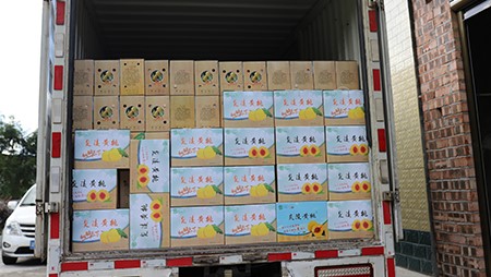 助銷(xiāo)黃桃社會(huì)扶貧，關(guān)愛(ài)員工送高溫福利